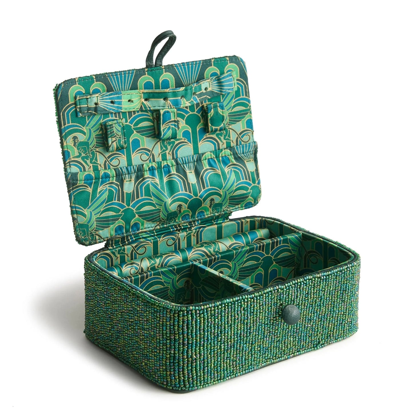 Wicked Jewelry Hard Case
