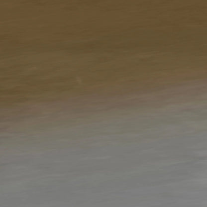 Dall Polarized Sunglasses