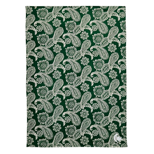 Collegiate Plush XL Throw Blanket