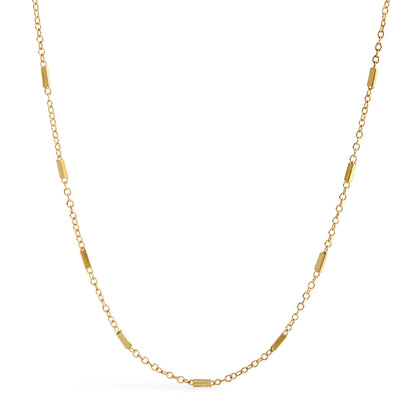 Delicate Chain Choker