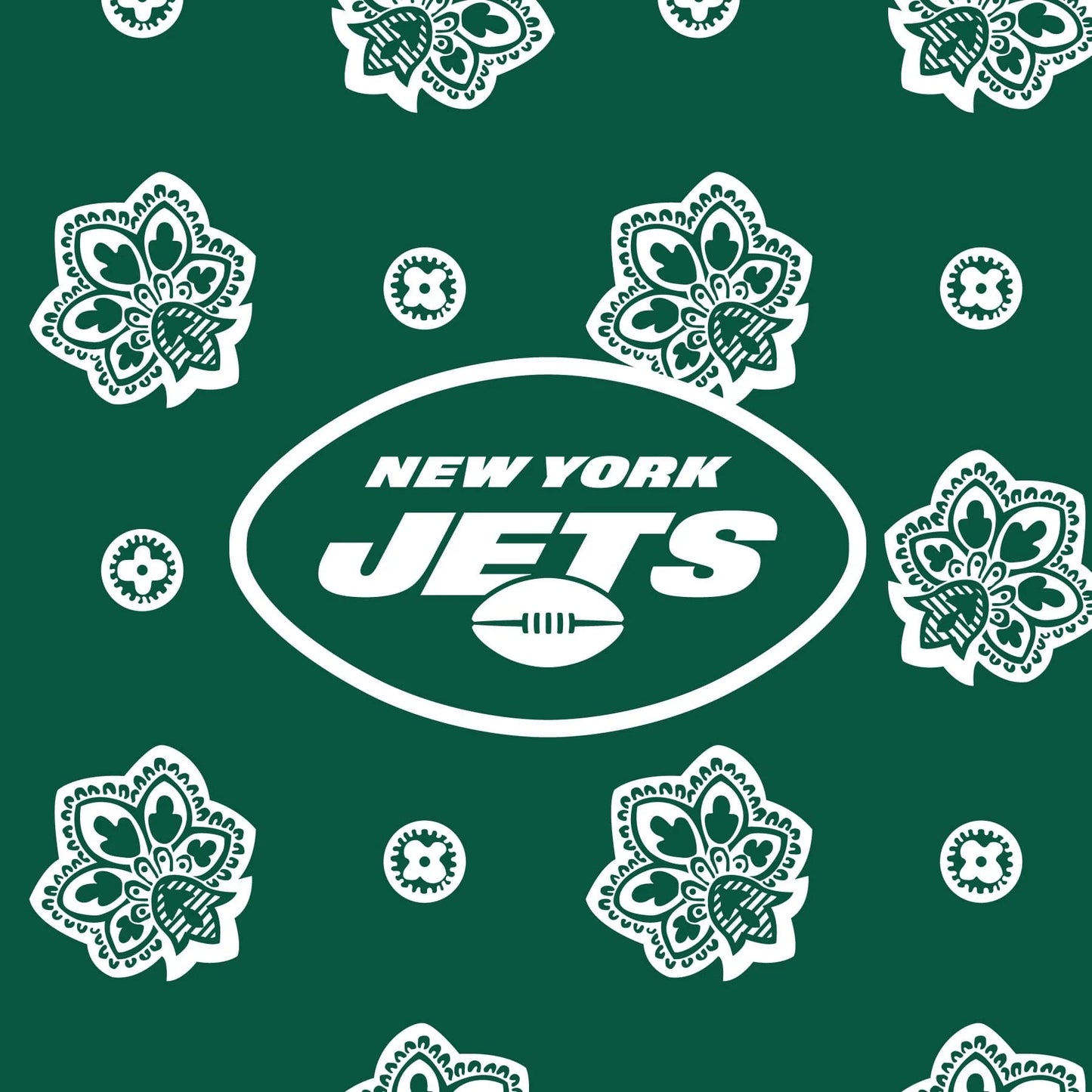NFL Clear Small Belt Bag